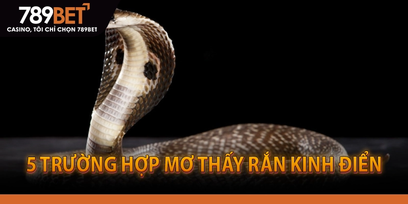 5 Trường Hợp Mơ Thấy Rắn Kinh Điển